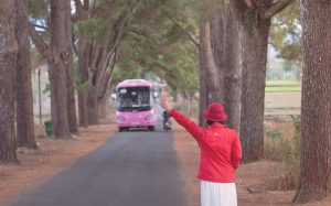 autobus-mamografias-asamma